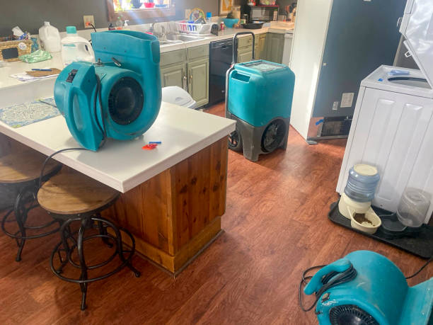 Best Ceiling water damage repair  in East Gaffney, SC