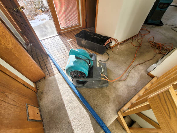 Best Professional water damage repair  in East Gaffney, SC