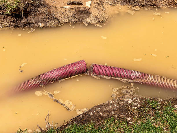 Professional Water damage restoration in SC