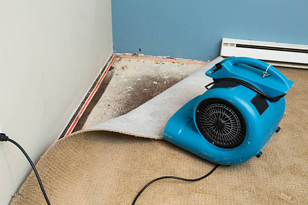 Best Flood damage cleanup  in East Gaffney, SC